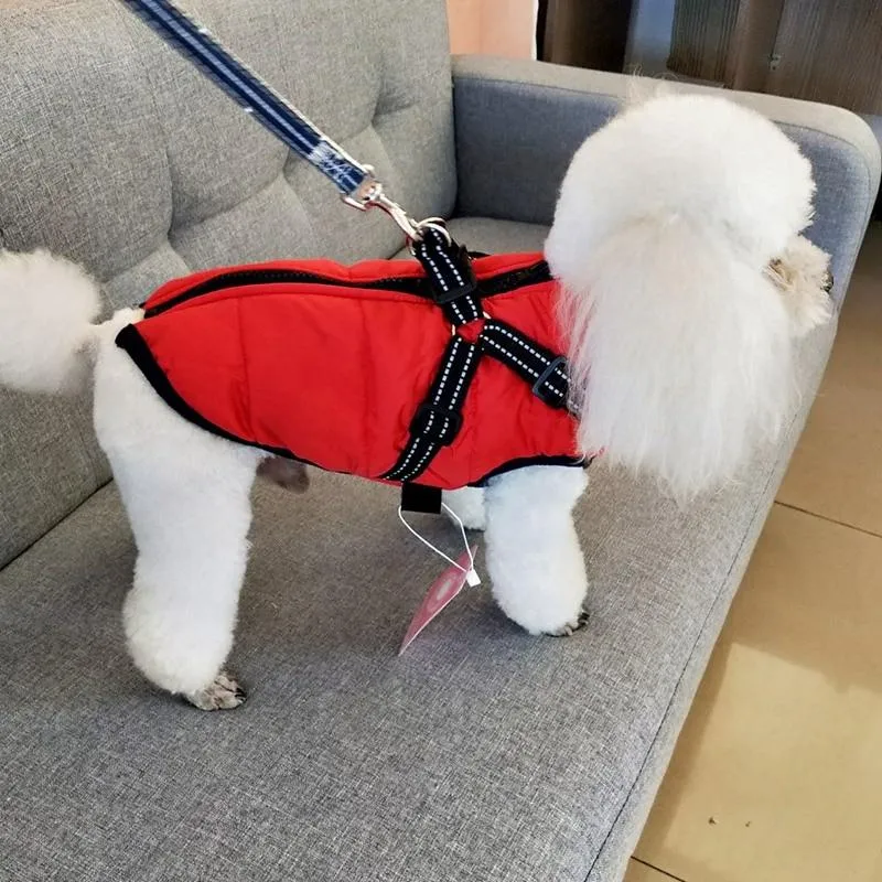 Dog Harness Coat - InfiniteWags Harness Dog Jacket