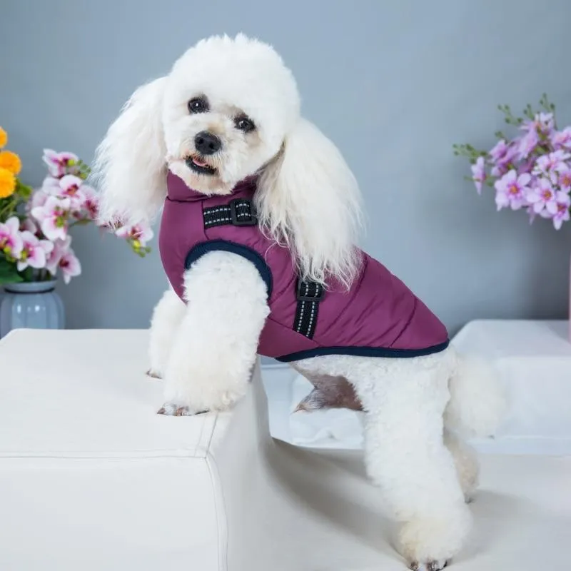 Dog Harness Coat - InfiniteWags Harness Dog Jacket