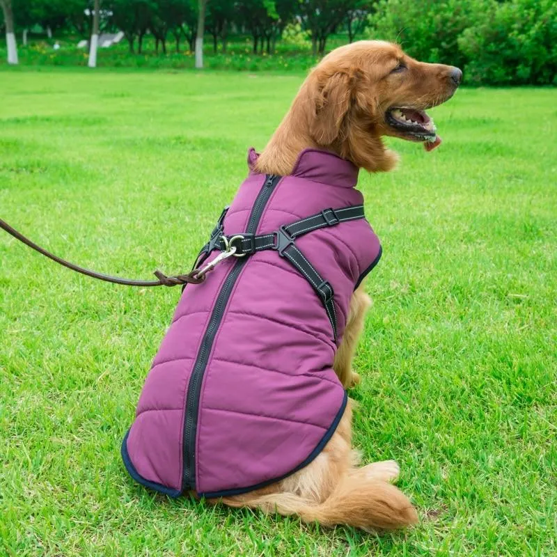 Dog Harness Coat - InfiniteWags Harness Dog Jacket