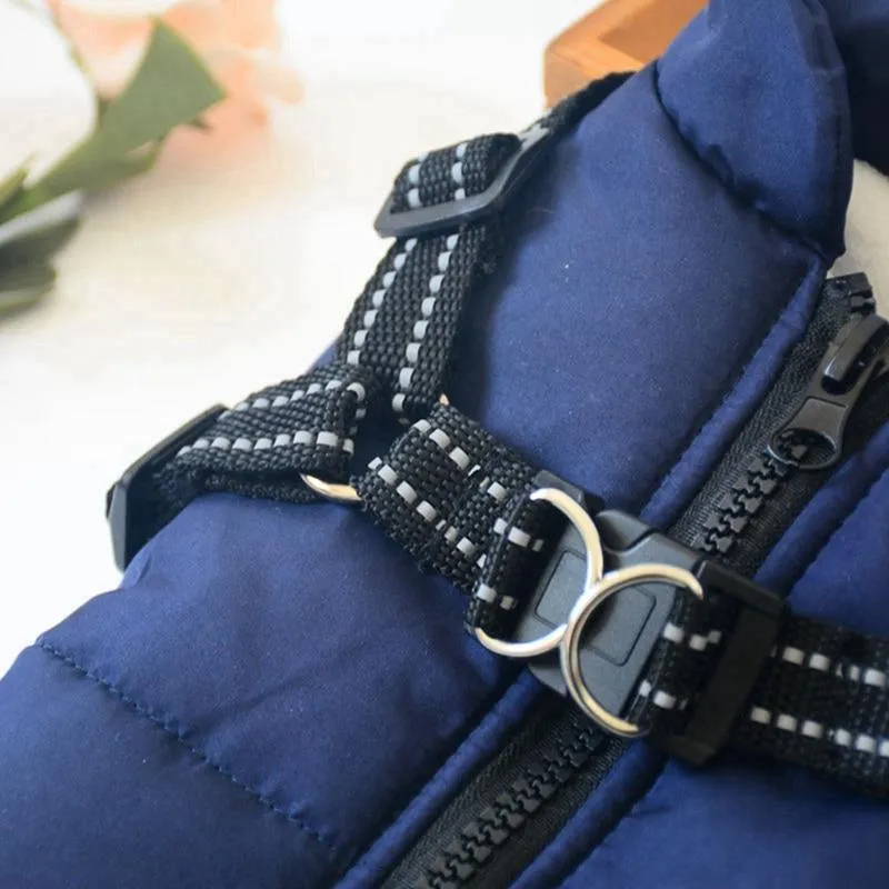 Dog Harness Coat - InfiniteWags Harness Dog Jacket