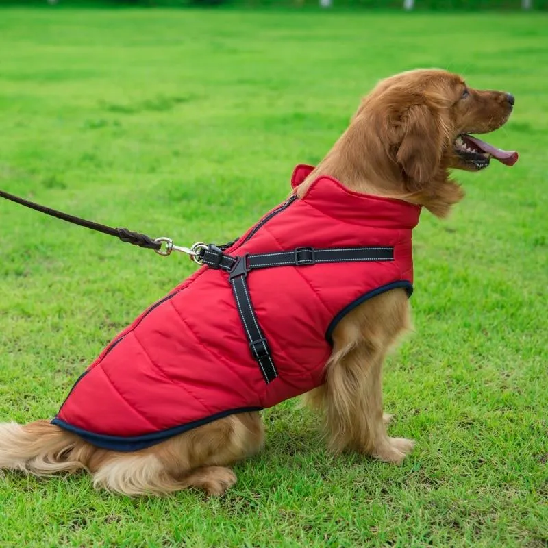 Dog Harness Coat - InfiniteWags Harness Dog Jacket