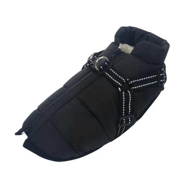 Dog Harness Coat - InfiniteWags Harness Dog Jacket