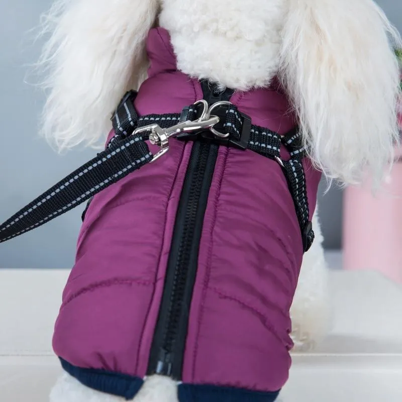 Dog Harness Coat - InfiniteWags Harness Dog Jacket