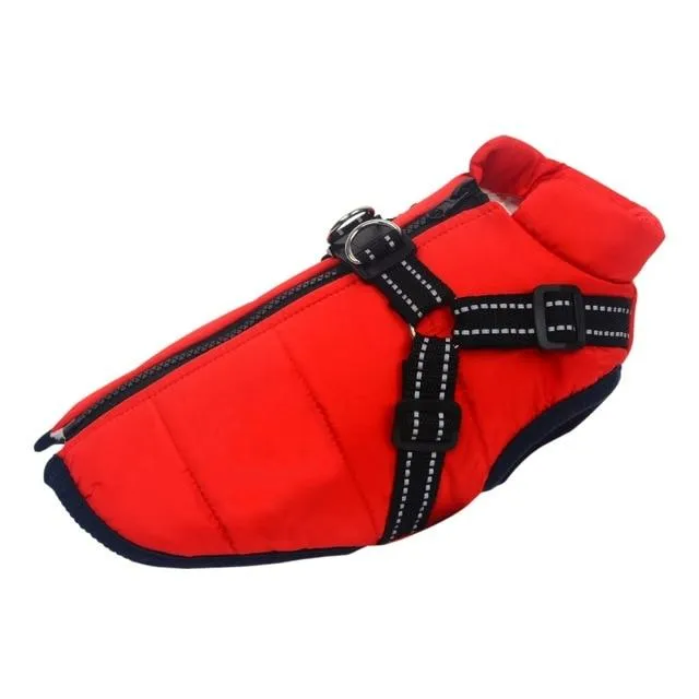Dog Harness Coat - InfiniteWags Harness Dog Jacket