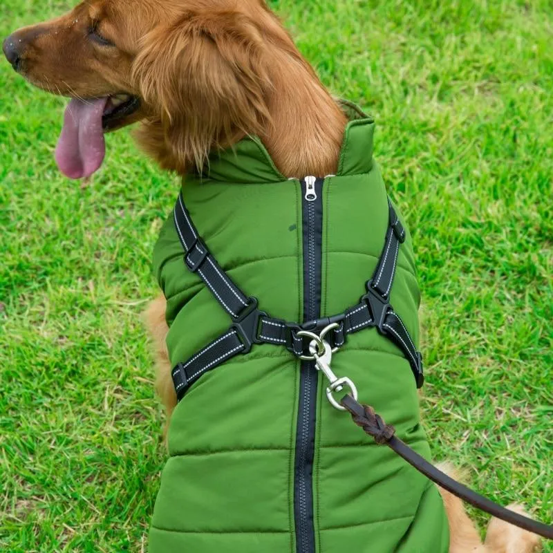 Dog Harness Coat - InfiniteWags Harness Dog Jacket