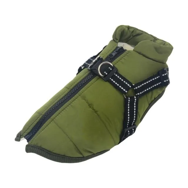 Dog Harness Coat - InfiniteWags Harness Dog Jacket
