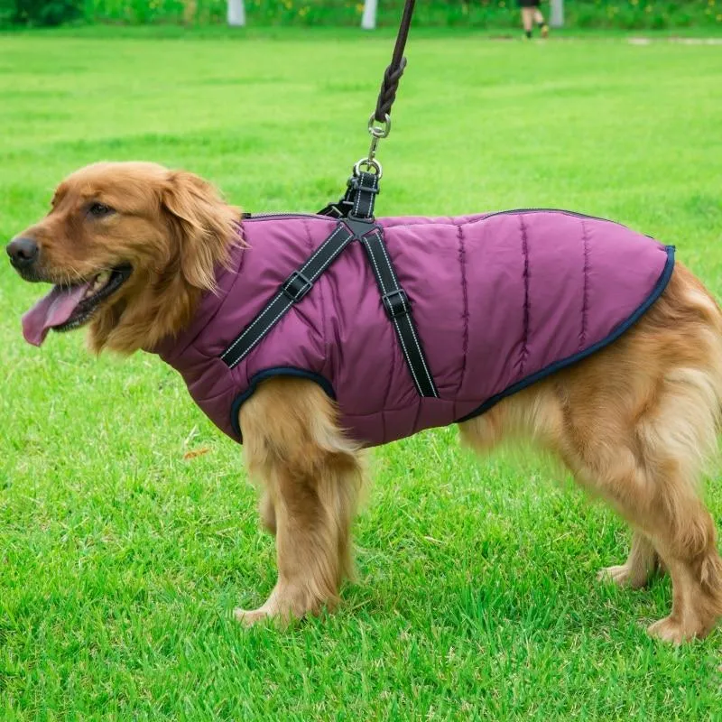 Dog Harness Coat - InfiniteWags Harness Dog Jacket