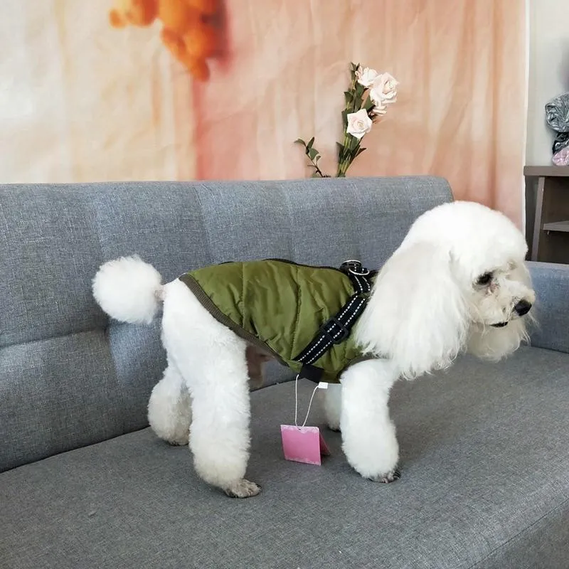 Dog Harness Coat - InfiniteWags Harness Dog Jacket