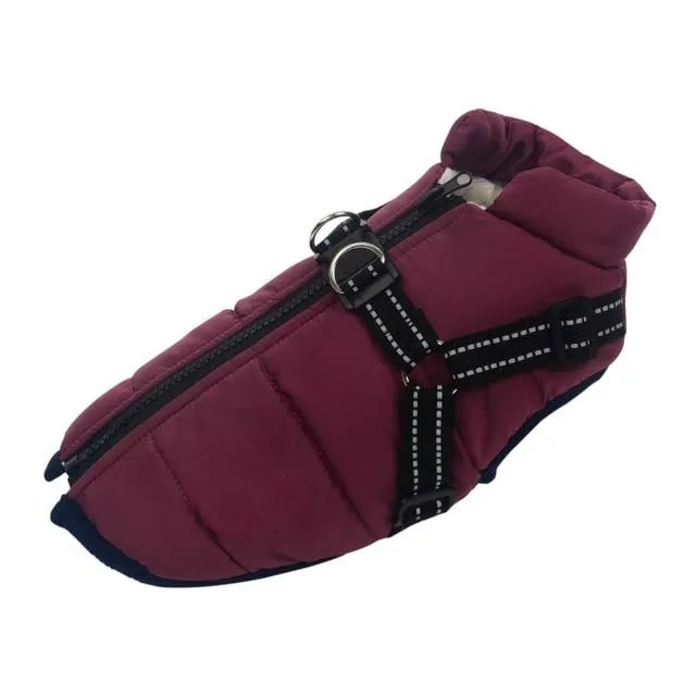 Dog Harness Coat - InfiniteWags Harness Dog Jacket