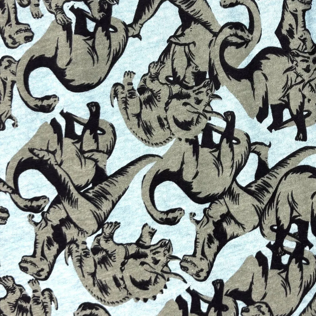 FOSSILIZED COMFORT