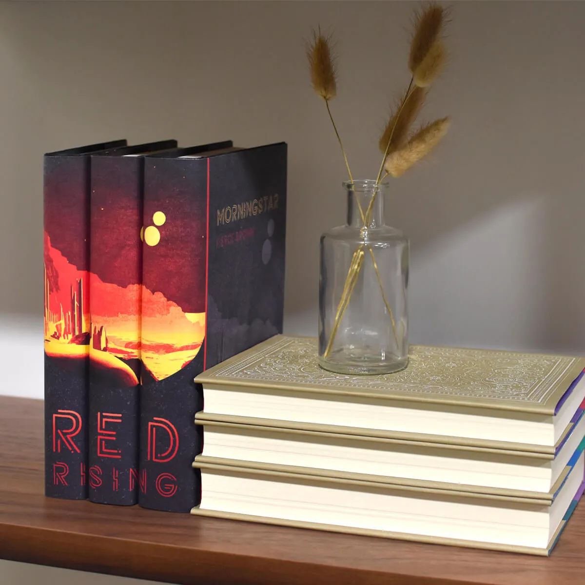 Pierce Brown Red Rising Set - Jackets Only