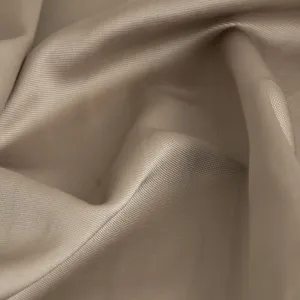 Shinny Golden Beige Fabric 5251